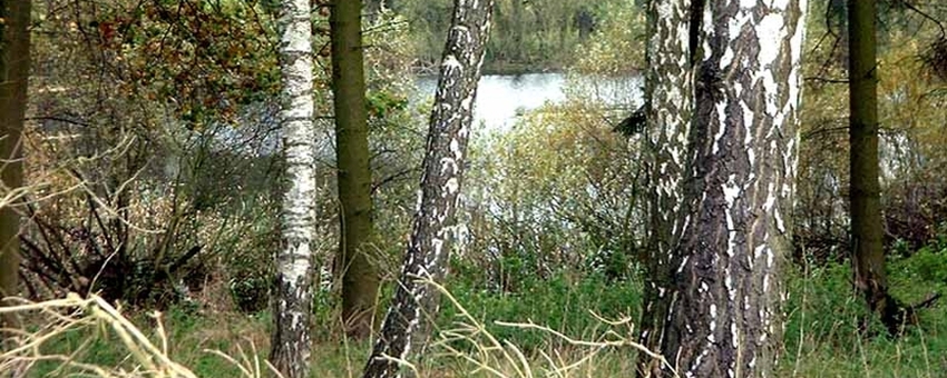 Logo von KulturKontor-Uckermark